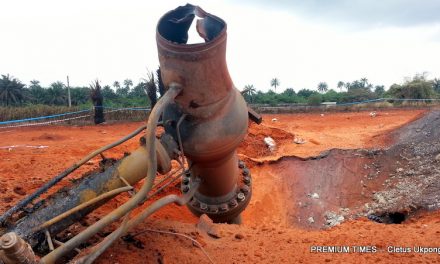 NNPC Proposes Repair of 180,000 Bpd Tnp Line in Niger Delta as Production Expects to Rise